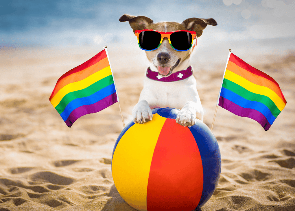 Pride Month in South Africa: Celebrate Diversity & Equality